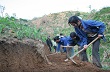 Lai Châu: Hỗ trợ người lao động tham gia trồng cao su đại điền tại các CT cao su thành lập mới trên địa bàn 